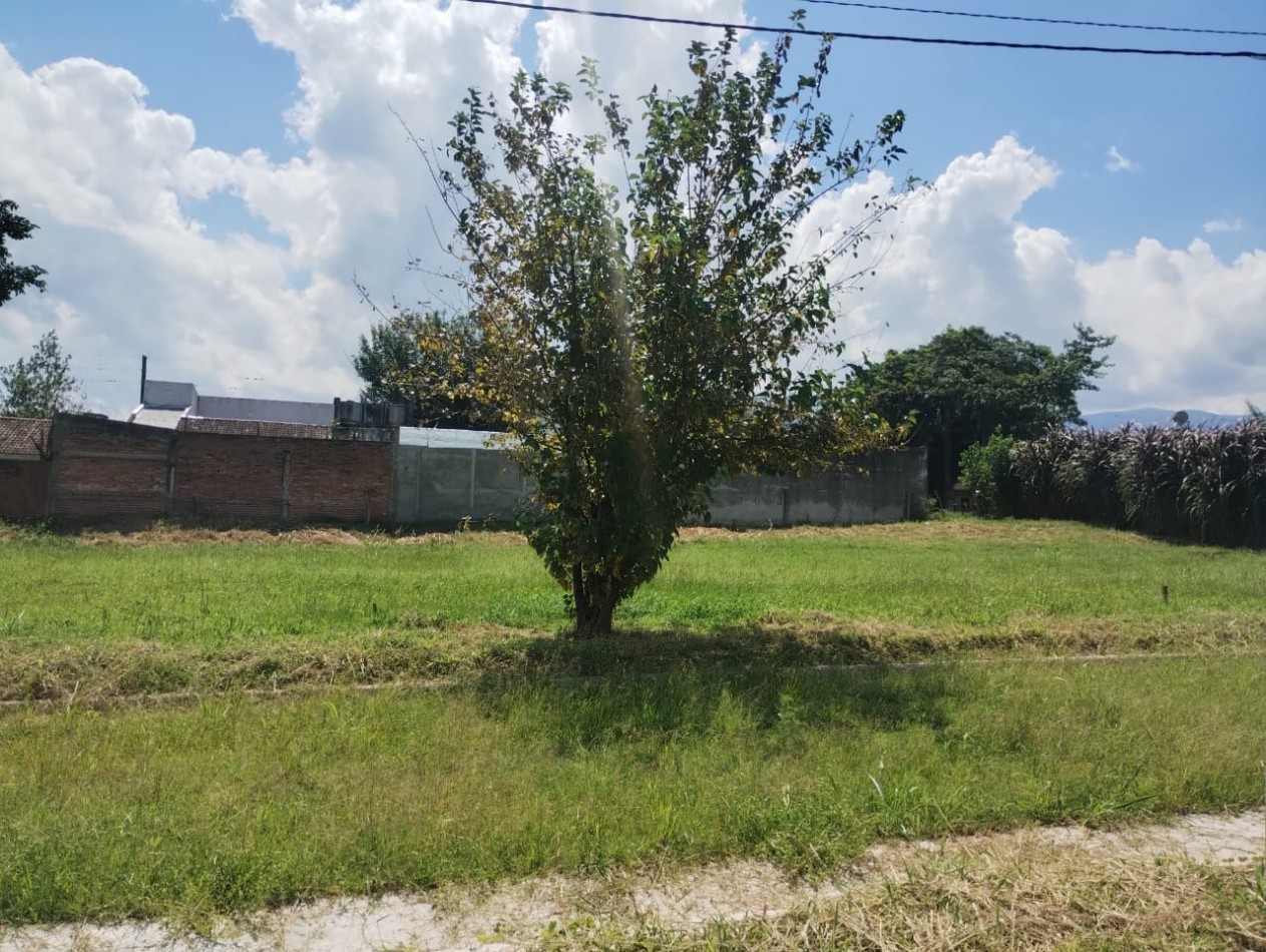 Venta  Terreno en Villa Carmela 